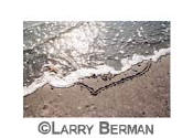 "i love you" heart in sand sequence of three photographs