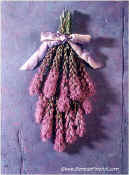 Click here to enlarge this image