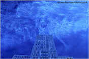 Click here to enlarge this image