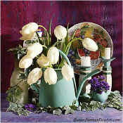 Click on here to enter the gallery