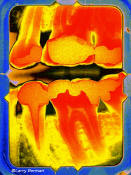 Click here to enlarge this image