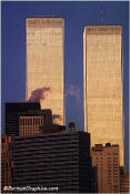Visit the New York Gallery