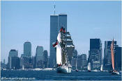 Click here to enlarge this image