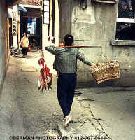 Click Here to view Porter Woman 