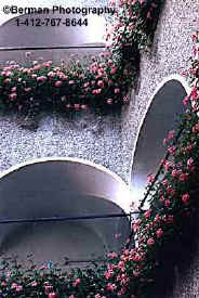 Click here to view Arches in Salzburg