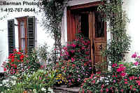 Click Here to Visit Gallery 4
